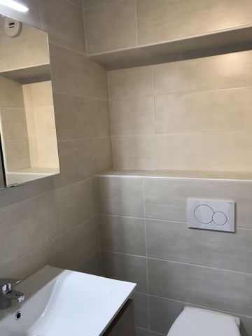 Location Appartement 1 pièce 19m² ST MARTIN D HERES 38400 - Photo 3