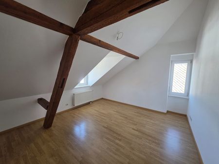 Location Appartement 3 pièces 53m² ALTKIRCH 68130 - Photo 5