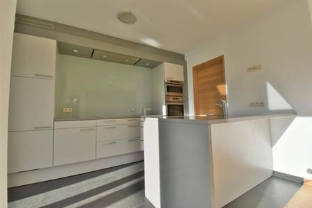 Duplex te huur - Photo 4