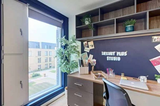 Luxury Plus Studio - Photo 1