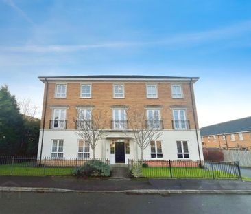 39 Mornington Lane, Lisburn, BT28 2WH - Photo 6