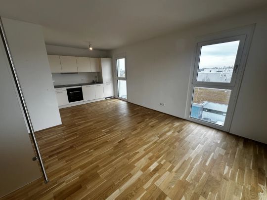 1220! Hübsche 1-Zimmer Wohnung mit Balkon nahe Badeteich Hirschstetten! - Photo 1