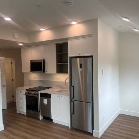 Brand New 1br Character Condo - W/Parking -Near Cook Street Village - Photo 1