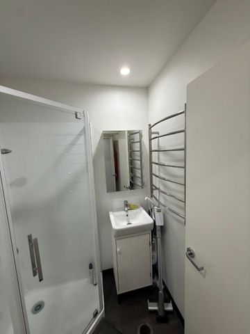 Modern & Stylish Living in the Heart of Hobsonville Point - Photo 5