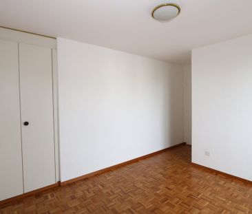 Appartement de 5 pièces en attique avec mezzanine et terrasse à Thônex - Photo 4