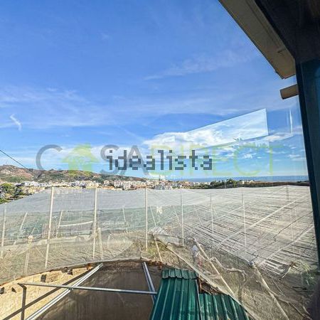 Alquiler de finca rústica en Diseminado Pago Dehesa - Photo 1