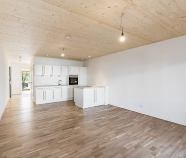 Holz-Hybridbau | Garten | Balkon - Photo 3