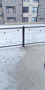 4 et demi à louer *animaux acceptés* - Photo 3