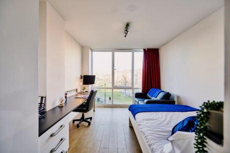 Studio - Platinum - Photo 2