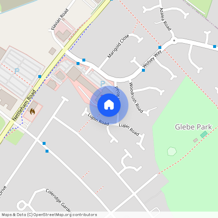 Lupin Road, Nettleham Fields, Lincoln