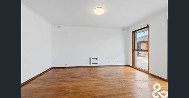 Freshly painted, new kitchen and large courtyard - Photo 1
