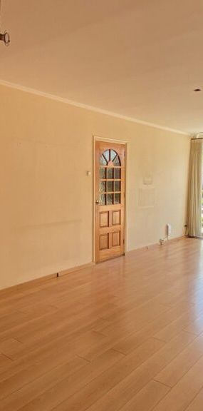 Salomon Levystrjitte - Foto 1