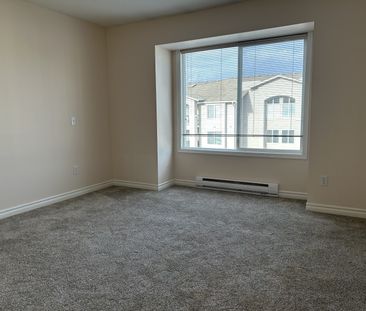 JENNA LEE - 301 - JL301 - Photo 4