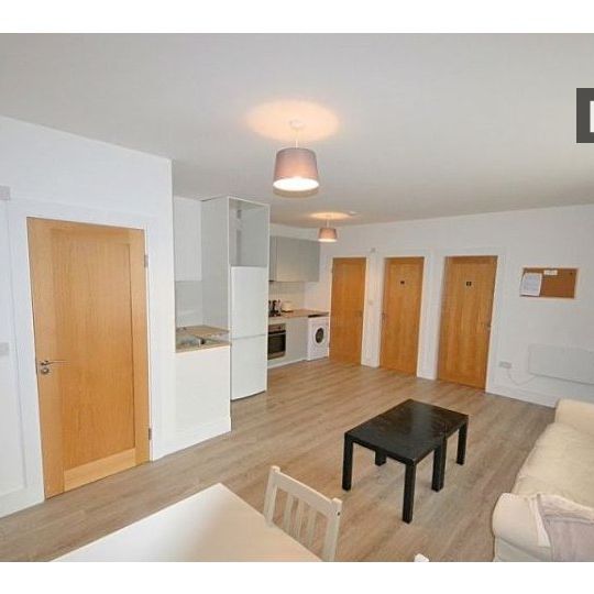 Room for rent in 4-bedroom apartment in Drimnagh, Dublin - Photo 1