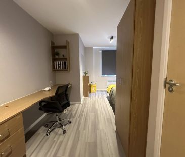 Gold Ensuite - Photo 4