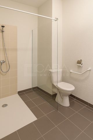 Location Appartement 2 pièces 50m² CAYENNE 97300 - Photo 4