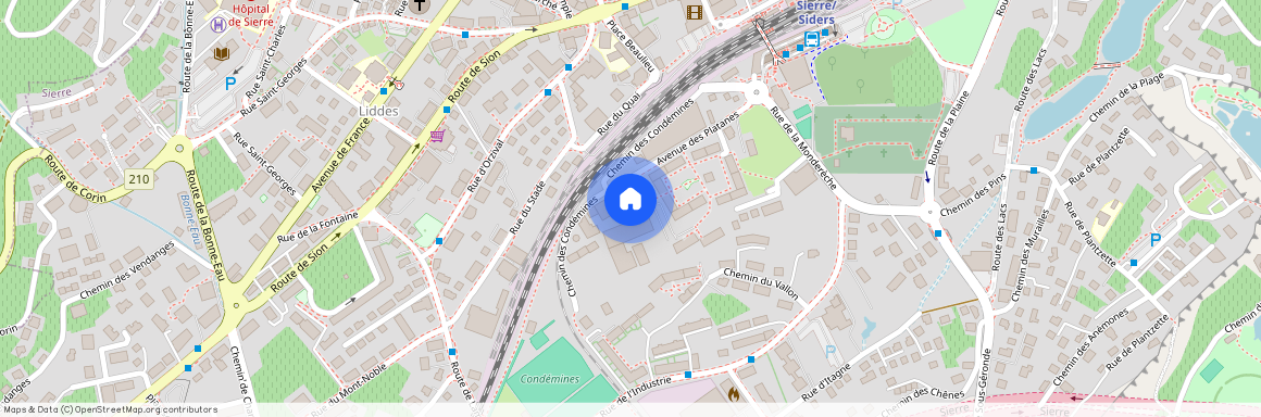 Avenue des Platanes 19, 3960 Sierre