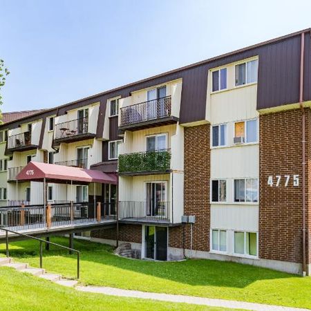 Appartement 3 ½ à louer Loretteville juillet 2026 - Photo 4