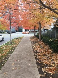 For Lease - 70 Absolute Avenue Unit# 1306, Mississauga, Ontario - Photo 2