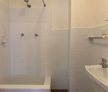 17/101 Macleay Street, Potts Point NSW 2011 - Studio For Rent | Domain - Photo 1