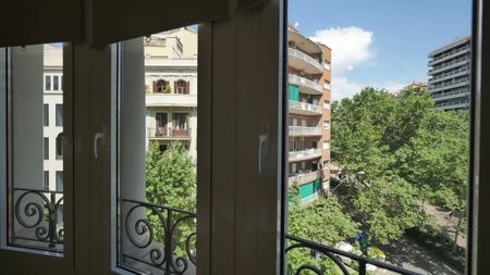 Passeig de Sant Joan, Barcelona, Catalonia 08009 - Photo 2