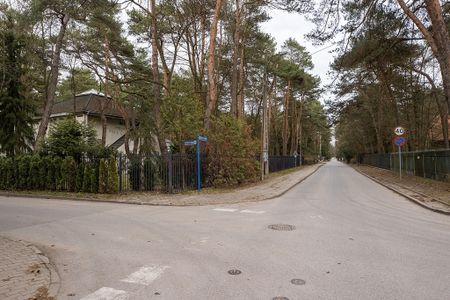 Piaseczyński, Konstancin-Jeziorna, Potulickich/leśny duży ogród /przy Parku Zdrojowym - Photo 2