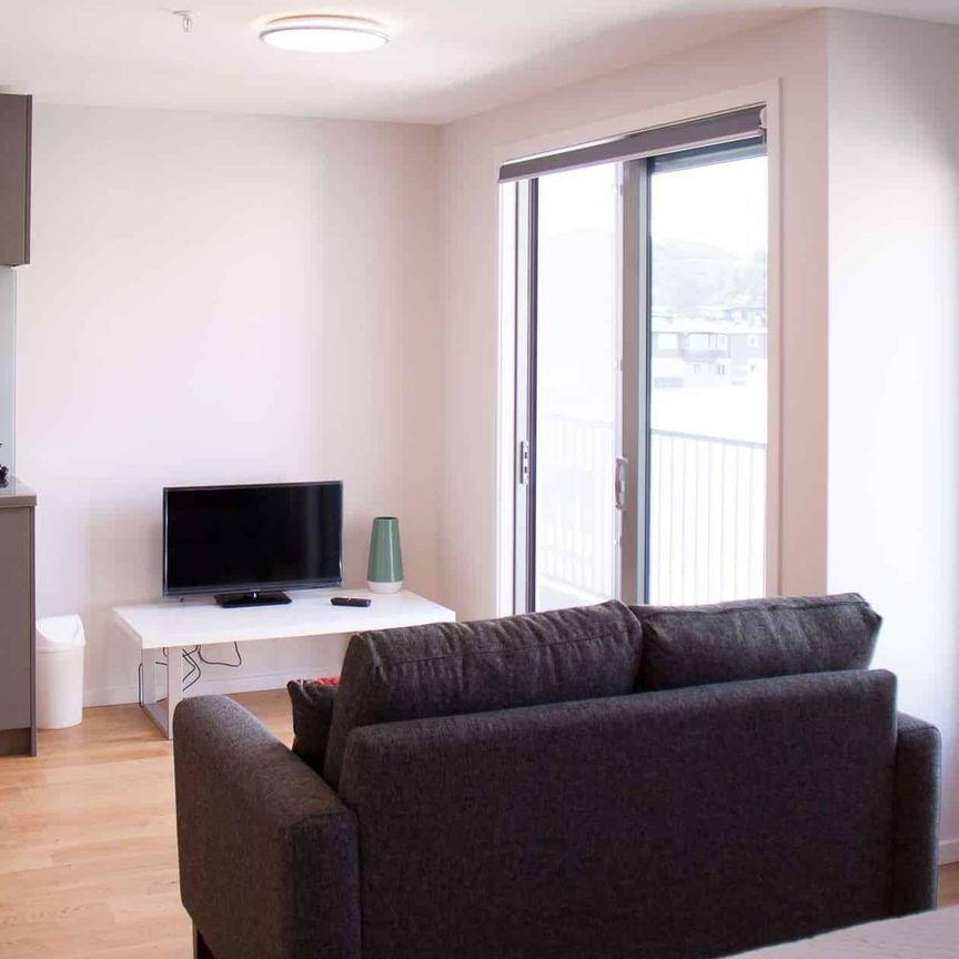 Modern 1 Bedroom Apartment - FURNISHED - Photo 1