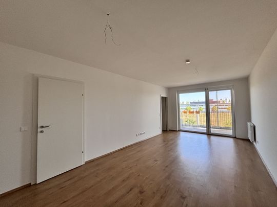 Perfekt aufgeteilte 2-Zimmer-Wohnung mit Einbauküche - Photo 1