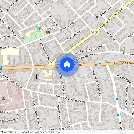 TOULOUSE - COTE PAVEE