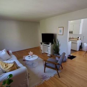 VIDEO TOUR! Pet Friendly Spacious Bright 1 bedroom available NOW! - Photo 3