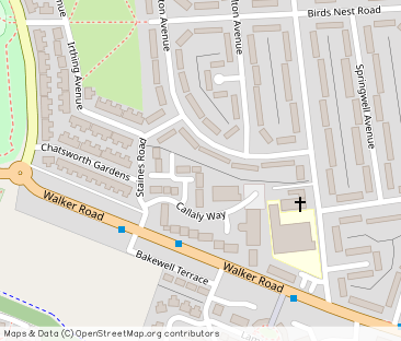 Wilton Avenue, Newcastle upon Tyne, Tyne and Wear, NE6 2TT - Photo 1