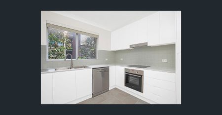 Another Successful Result By David Ibanez. - Photo 3