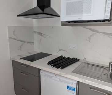 Location Appartement 1 pièce 24m² - Photo 2