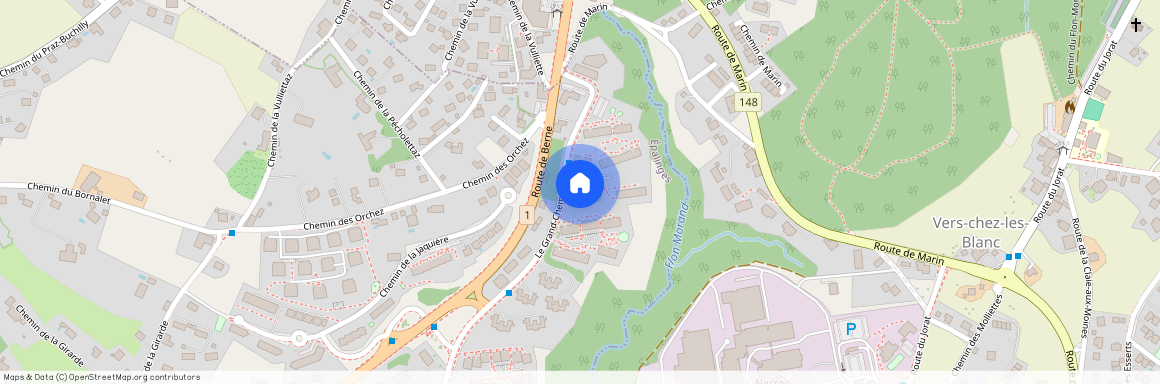 Le Grand-Chemin 106, 1066 Epalinges