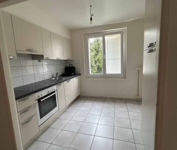 2.5 Zimmer, 47 m², 2. Stock - Photo 1