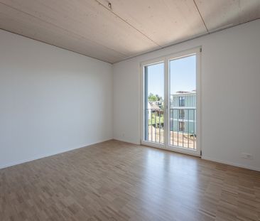 4 ½ Zimmer-Wohnung in Hombrechtikon mieten - Photo 4
