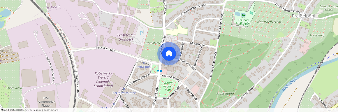 Schumannstr. 5, 08525 Plauen