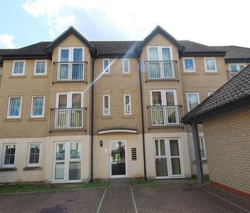 Spindle Drive, Thetford, IP24 - Photo 6