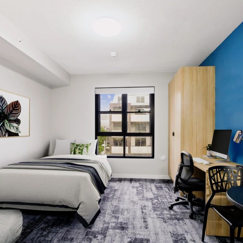 Deluxe Single Studio (Window) - Photo 1