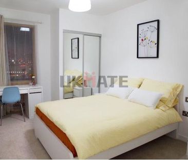 Eddington Court Apartment (Whole Property) Room 1 - Photo 5