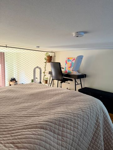 Storseglet, Vega - Foto 4