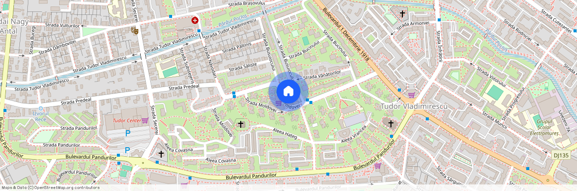 Strada Moldovei, Tudor Vladimirescu, Targu Mures, Mures