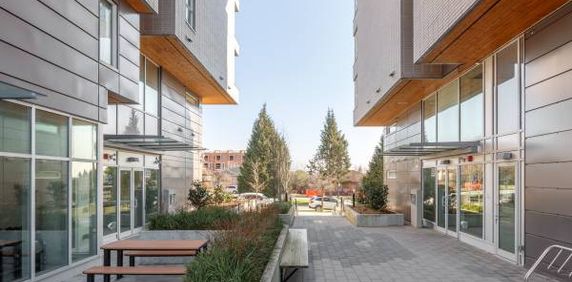 Student Housing - Sectioned Bedroom Apartments at GEC Pearson - Photo 2