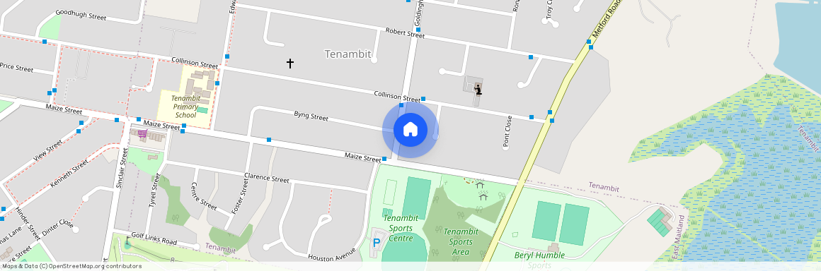 3 Goldingham Street, NSW 2323, Tenambit