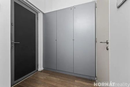 Pronájem, byt 2+kk, U Paliárky, Praha 5, 47 m - Fotografie 5