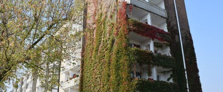 3-Raum Wohnung mit Balkon - Foto 1