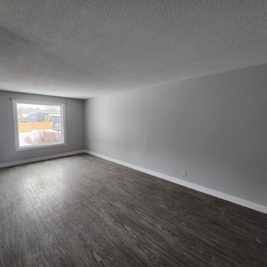 Newly Renovated Main Floor! Oversized Detached Garage Included! - Photo 1