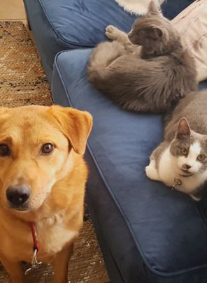 Kelvin Grove - Photo 1