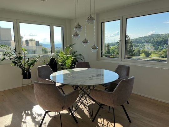 Möblierte Attika - Traumsicht über Zürich bis Uetliberg - neuwertig! - Foto 1