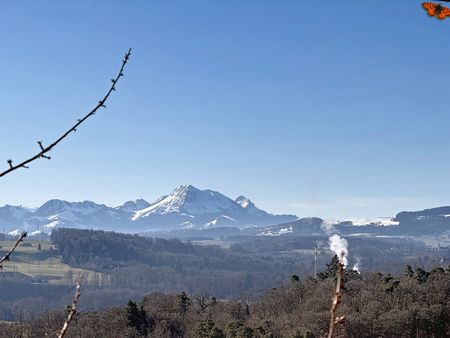 SINGLE FAMILY HOUSE- Platy Neighborhood - Foto 2